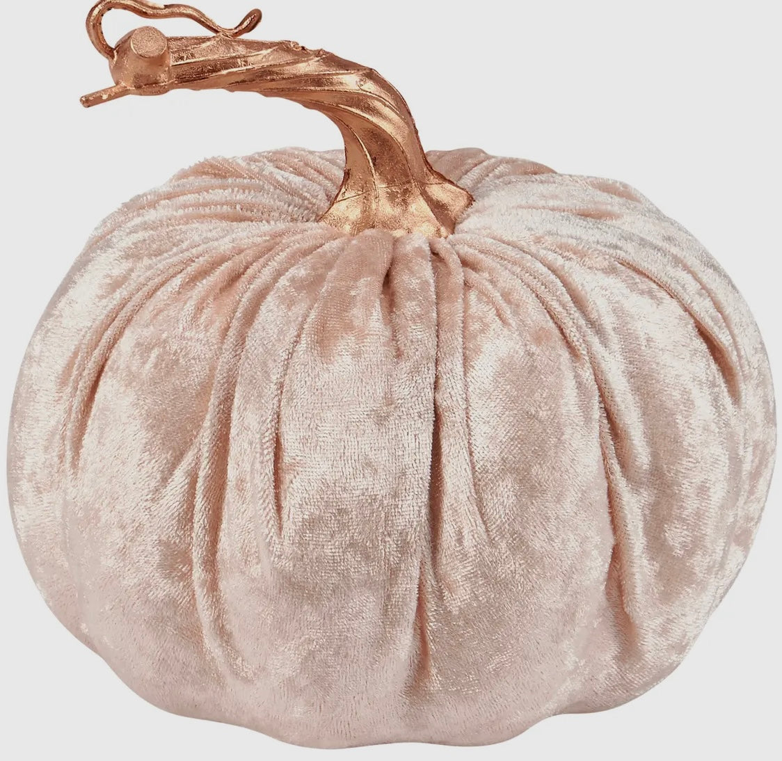 Cream Velvet Pumpkin
