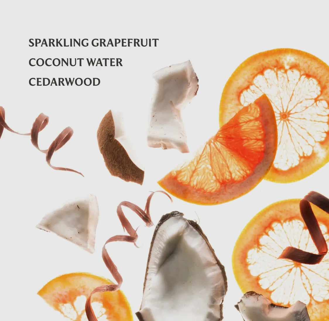 Beach Coco Hand Sanitizer