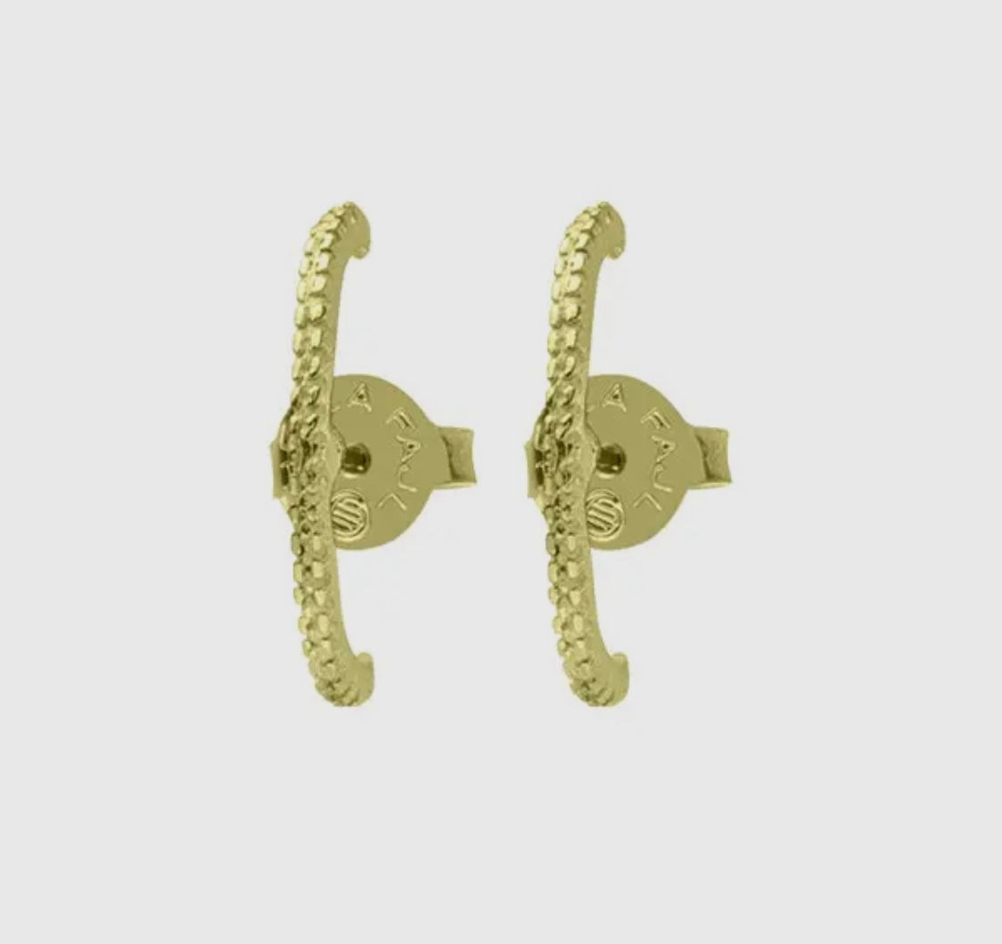 Ear Pleaser Studs