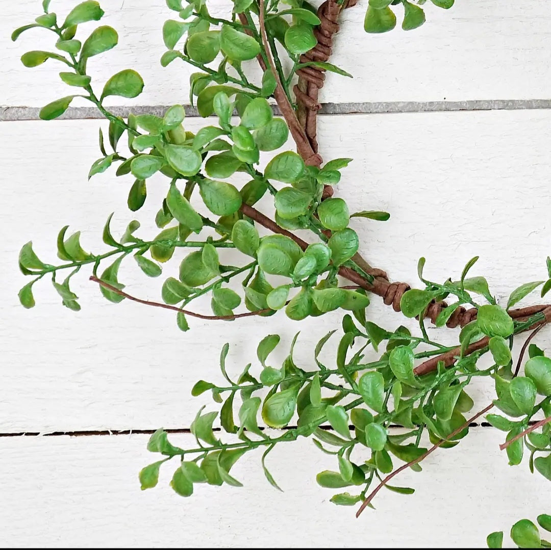 Evergreen Boxwood Wreath