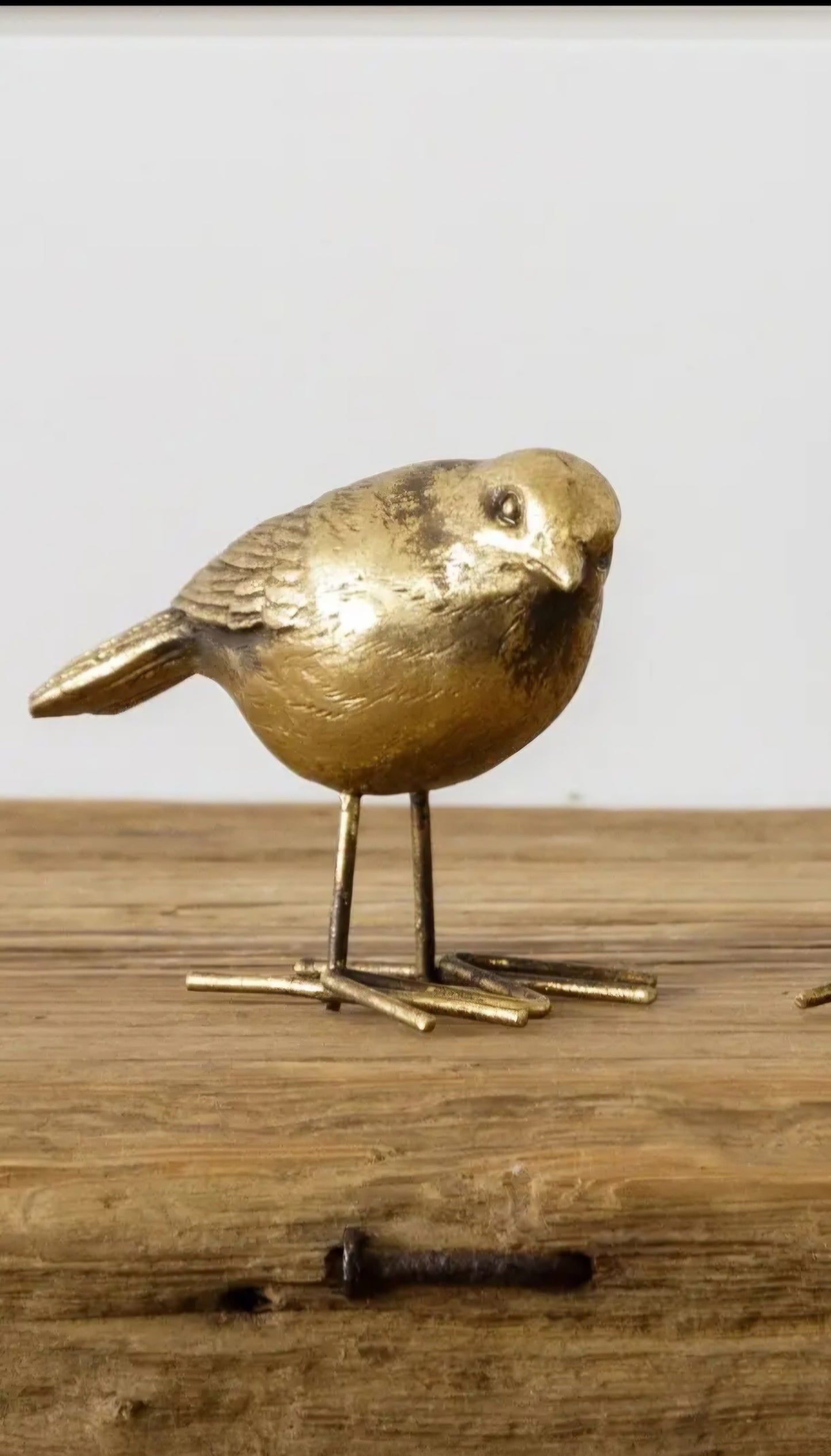 Gold Bird #1