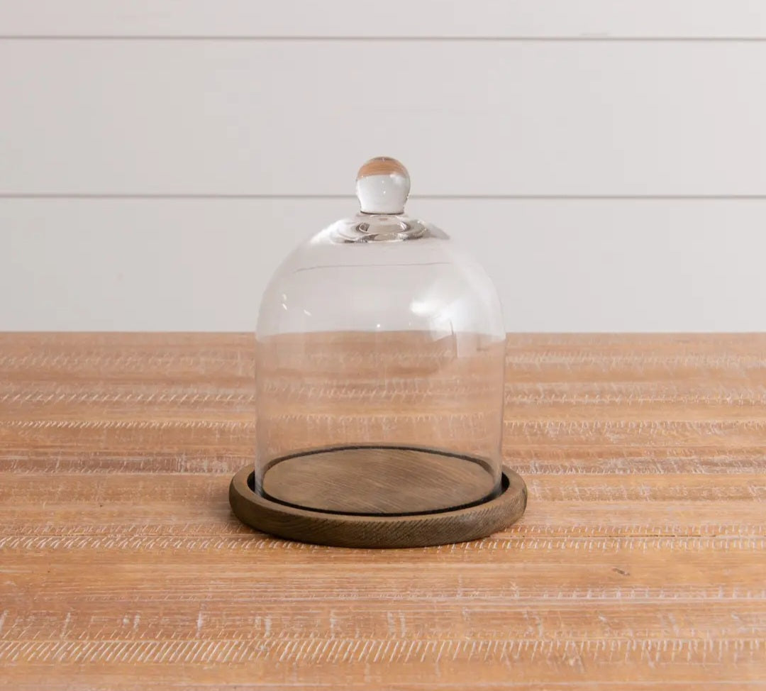Glass Cloche