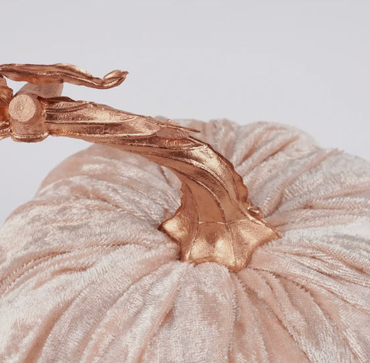 Cream Velvet Pumpkin