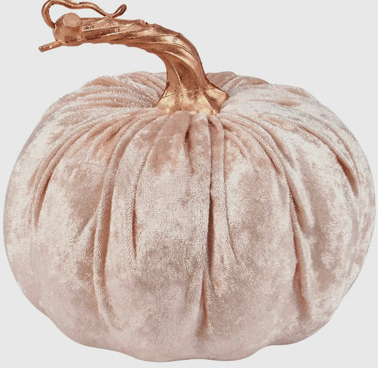 Cream Velvet Pumpkin