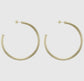 Everybody’s Favorite Hoop Earrings