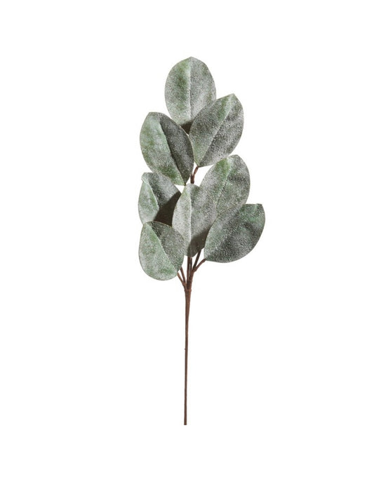 Iced Magnolia Leaf Spray
