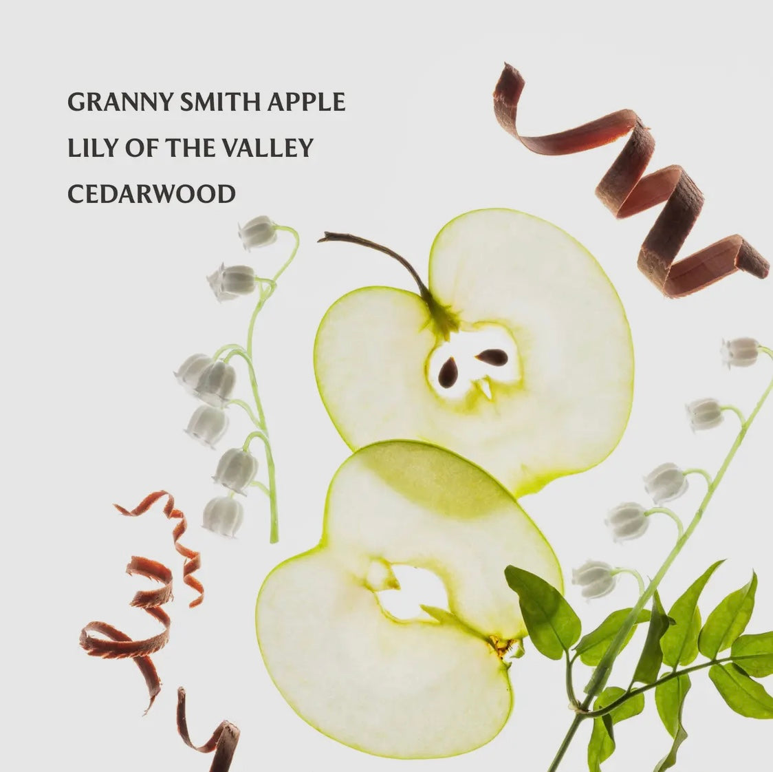 Applelicious Hand Sanitizer