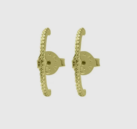 Ear Pleaser Studs