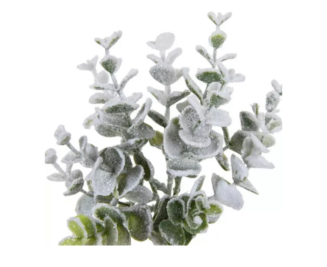 Frosted Eucalyptus Pick