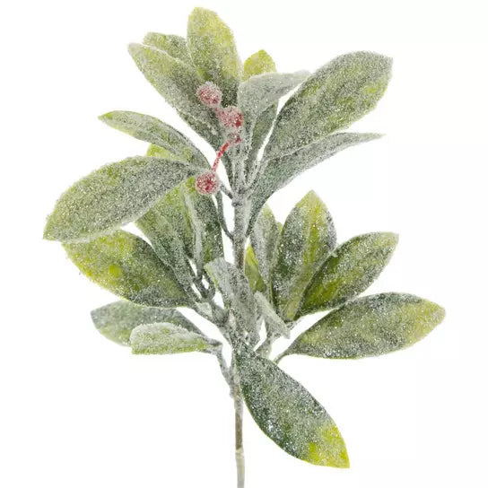 Frosted Berries Pick