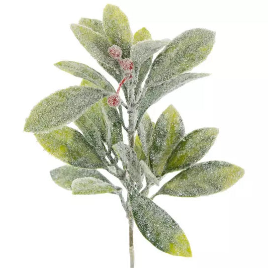 Frosted Berries Pick