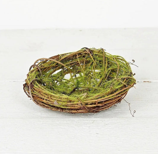 Twiggy Bird Nest Moss
