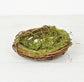 Twiggy Bird Nest Moss
