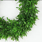 Evergreen Boxwood Wreath